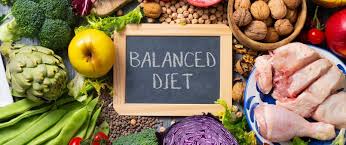 5 Components Of Fitness That Will Make Your Life Better A Quick Guide